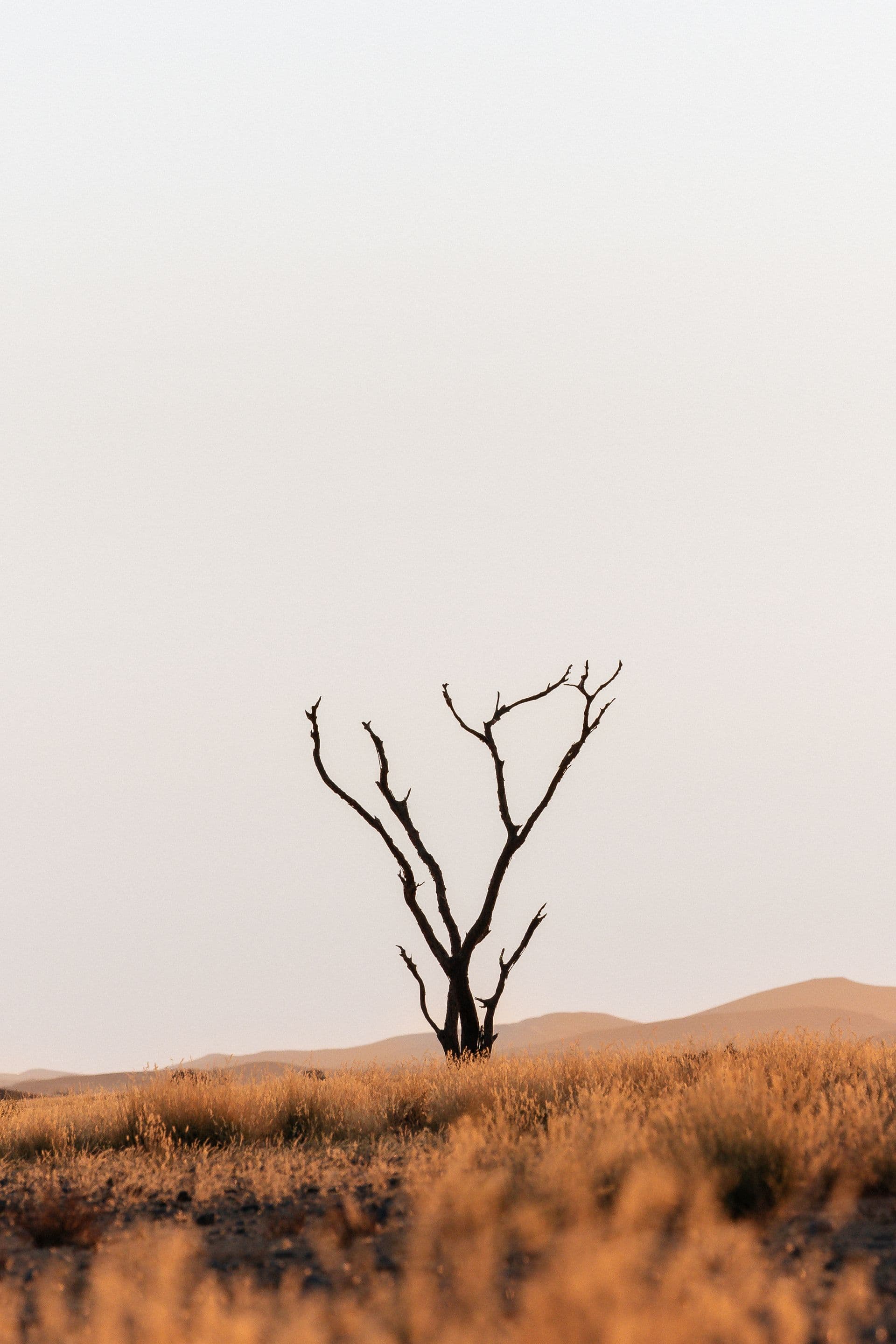 Signature Series Hero