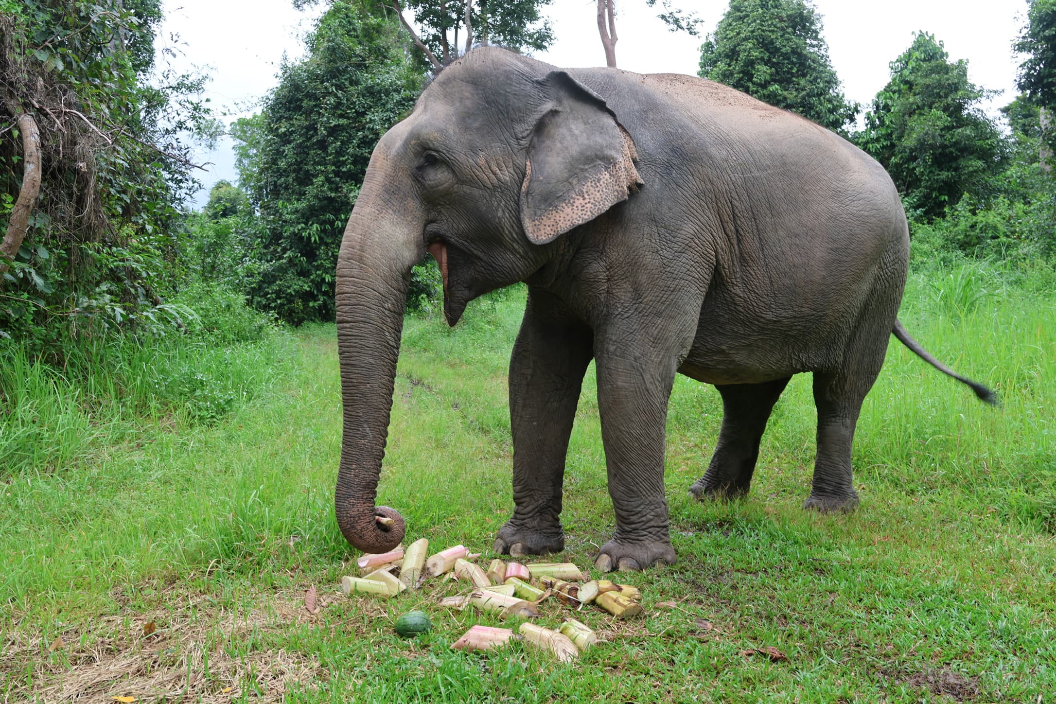 An Ethical Adventure