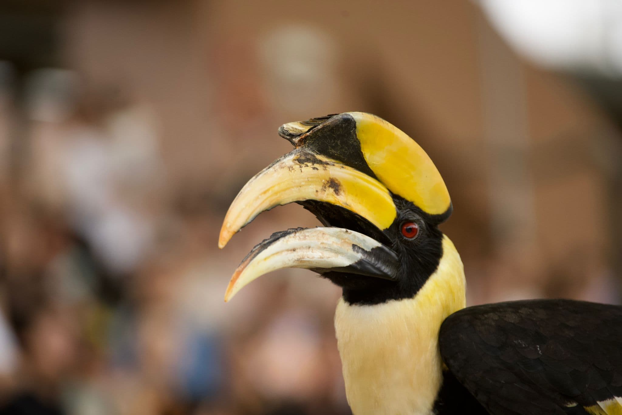 Boat Ride & Ruhanga