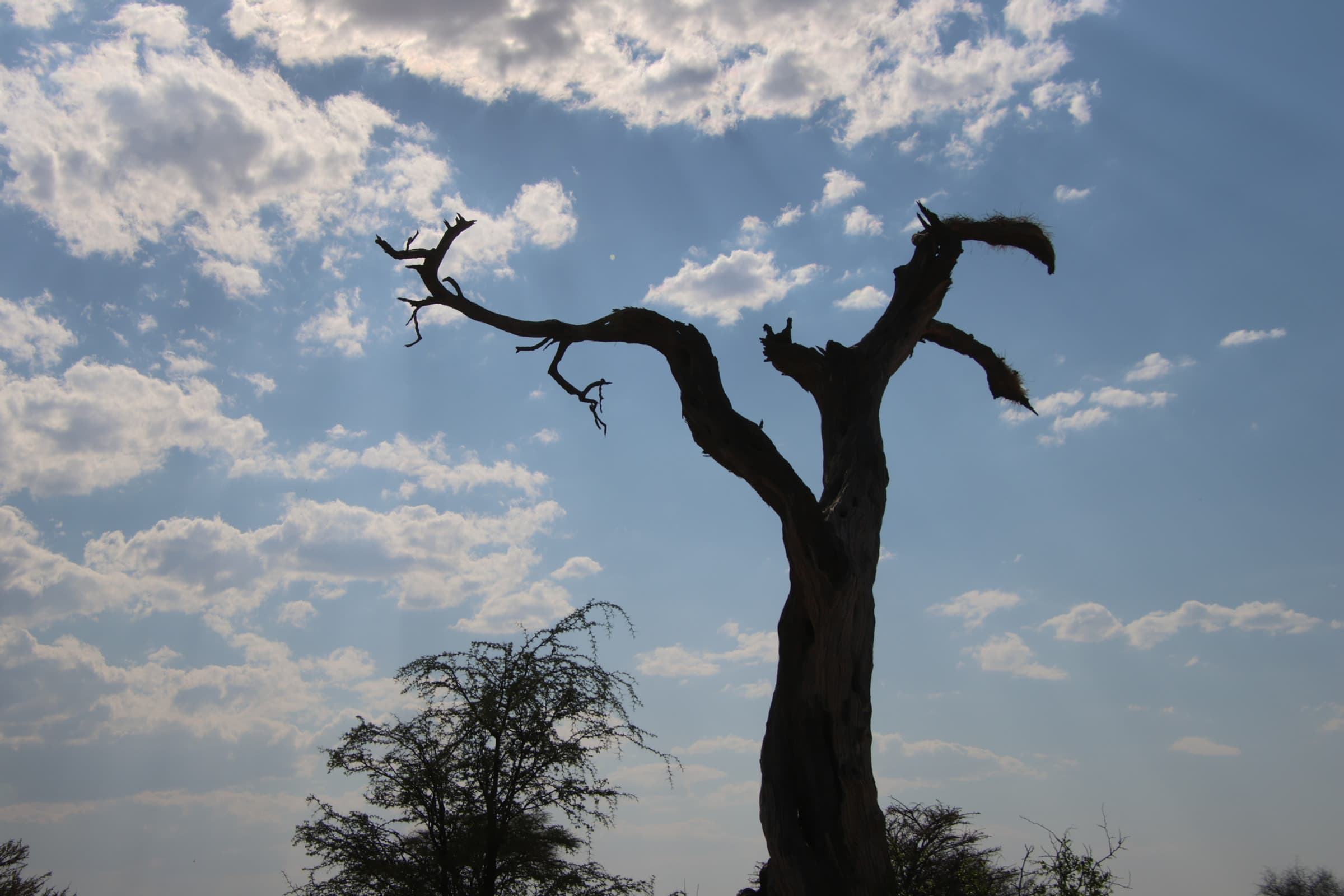 Leaving Africa- For Now