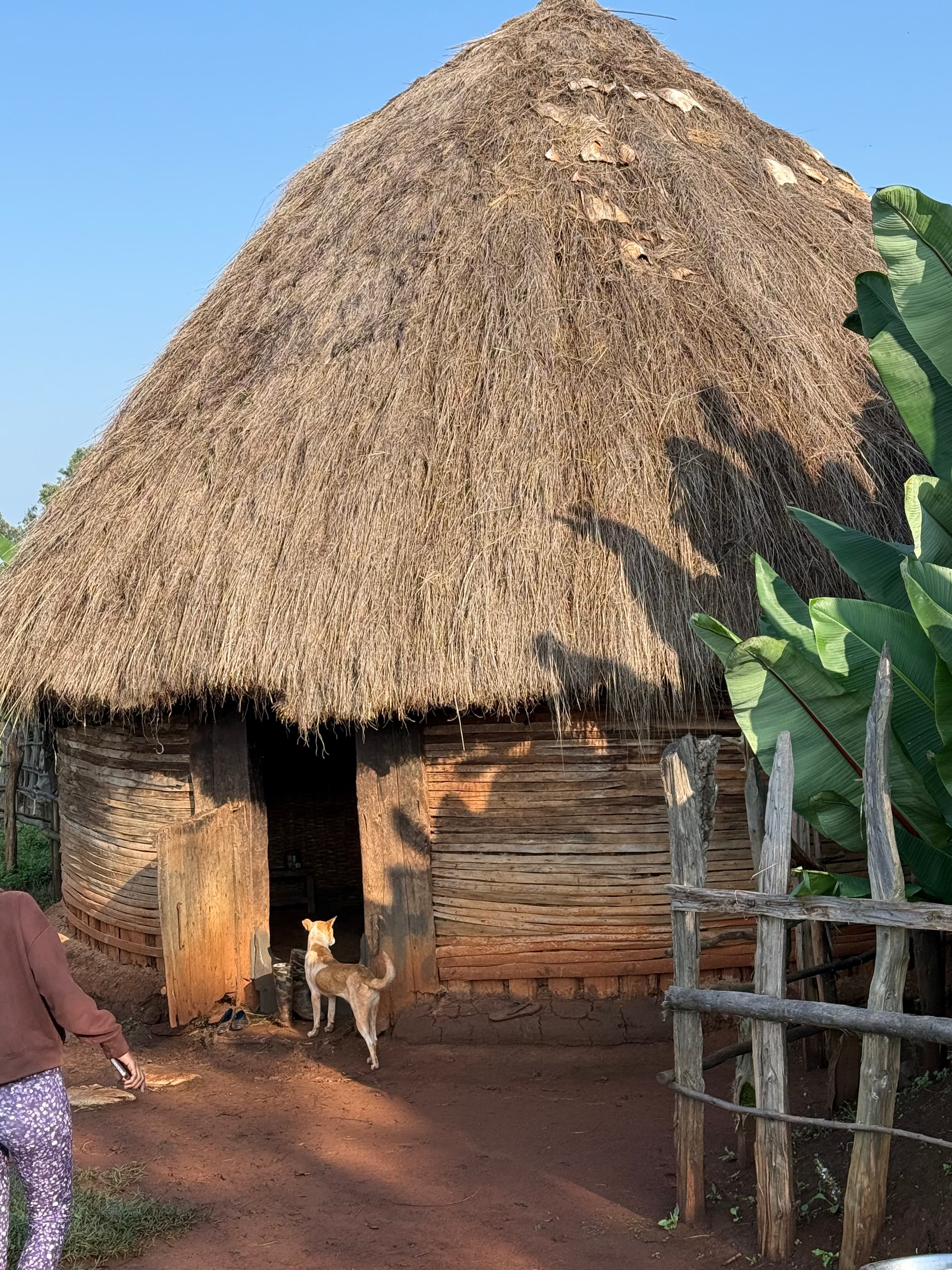 A funny thing happened on the way to Ethiopia