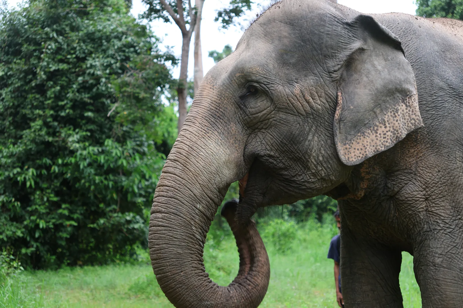 Day: Siem Reap to Vientiane