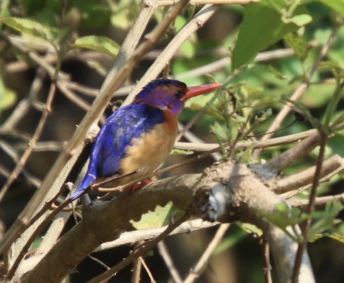 Nyamirambo Women’s Centre